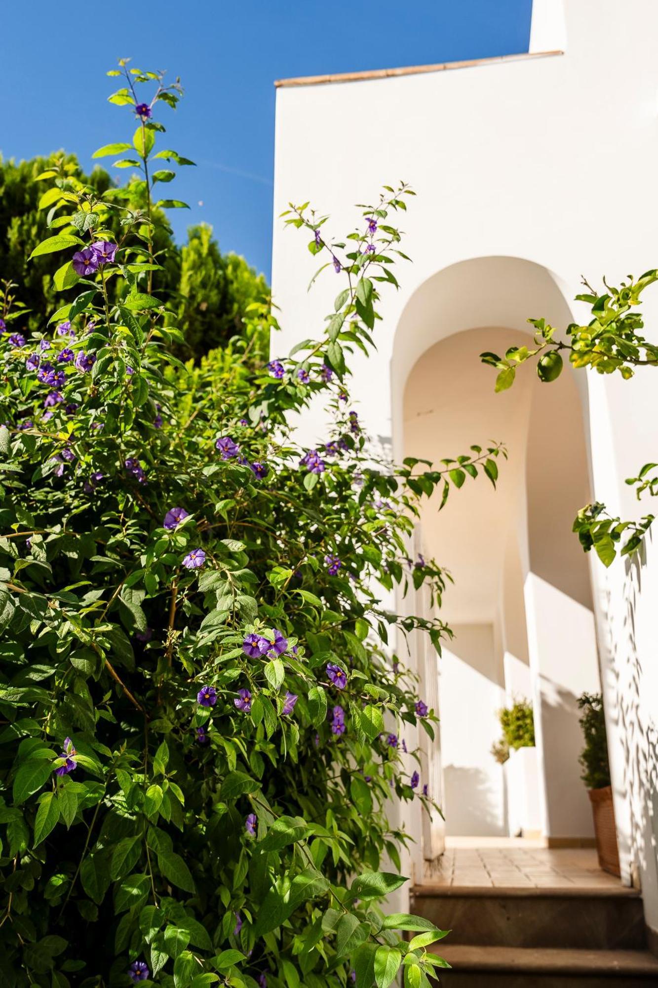 Hotel Senaria Anacapri Kültér fotó